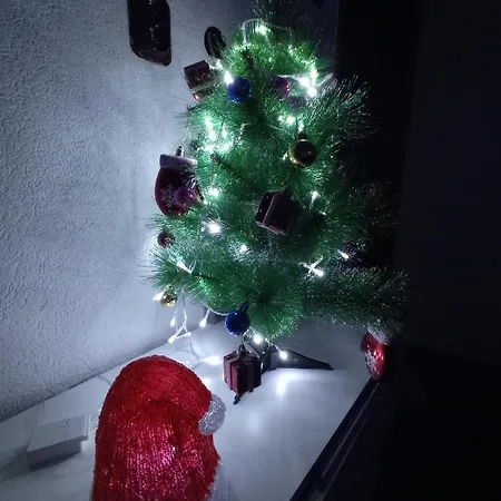 Apartment Zimska Carolija